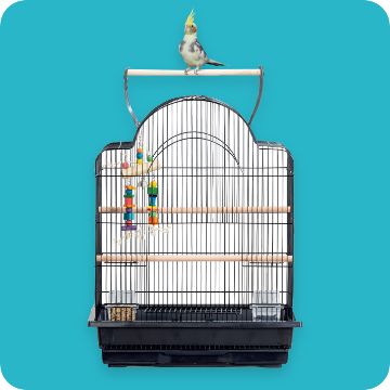 Bird cage